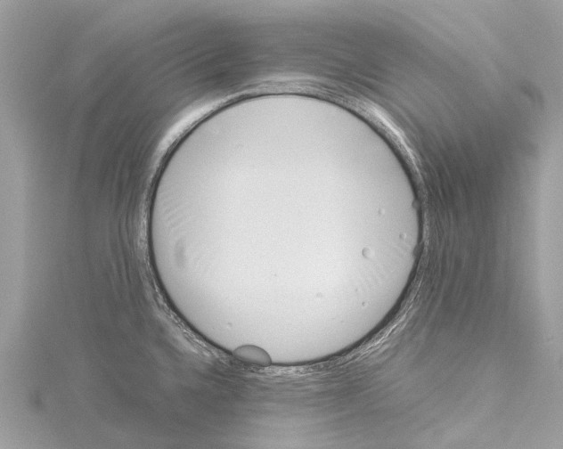 X0000114141336200911191135