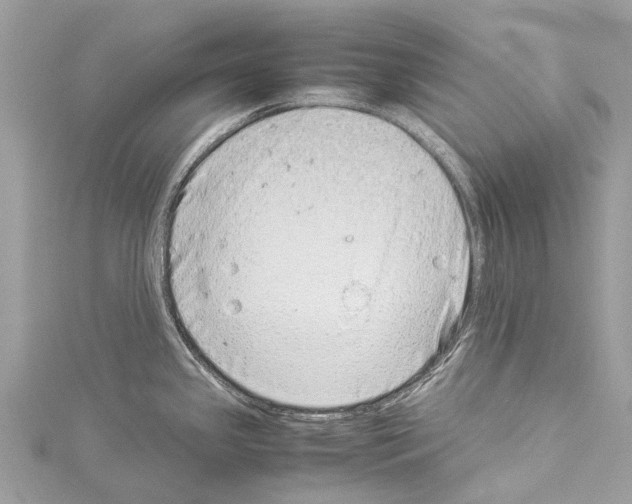 X0000114141341200911191135