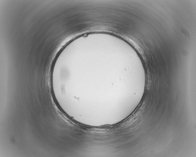 X0000114141342200911191135