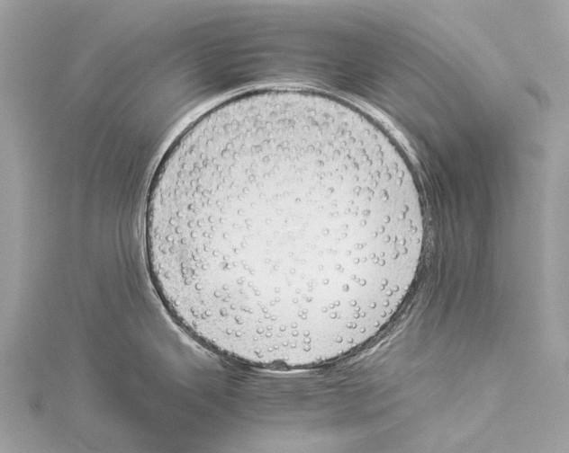 X0000114141343200911191135