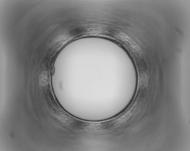 X0000114141353200911191134