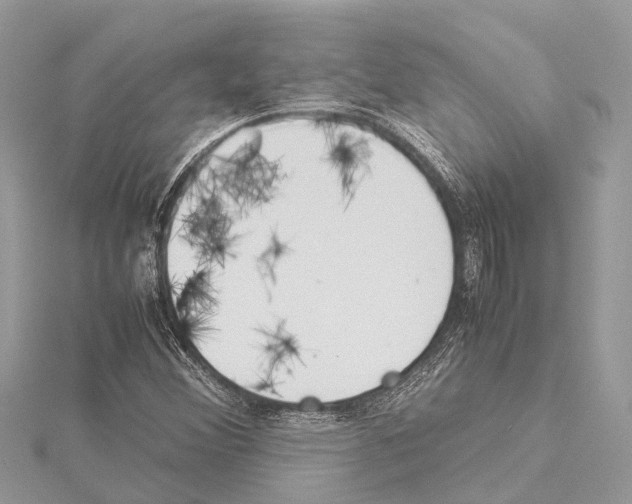 X0000114141356200911191134