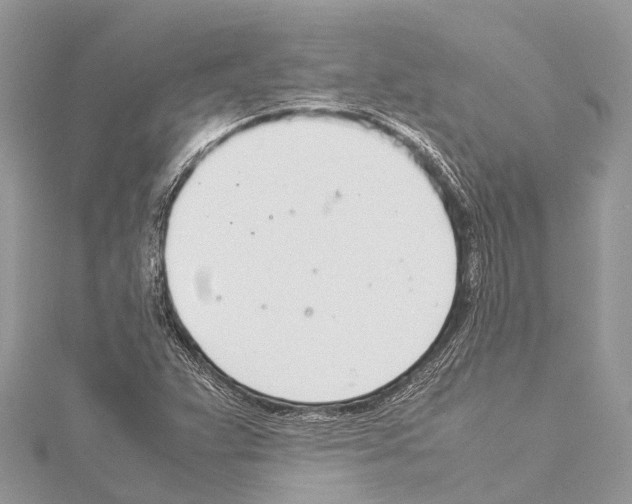 X0000114141359200911191134