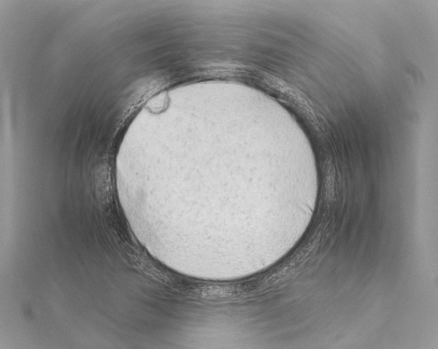 X0000114141362200911191134