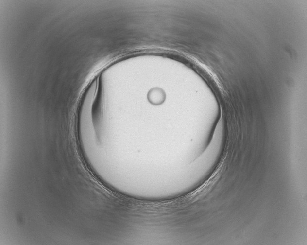 X0000114141365200911191134