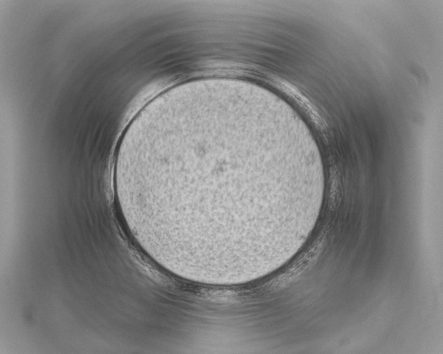 X0000114141370200911191134