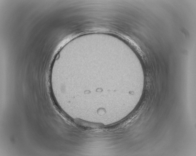 X0000114141373200911191134