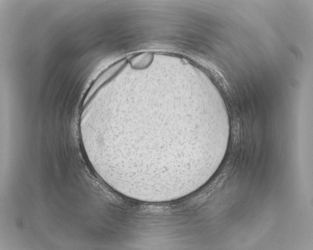 X0000114141374200911191134