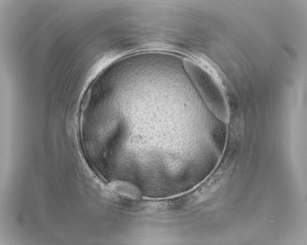 X0000114141381200911191134