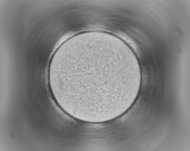 X0000114141382200911191134