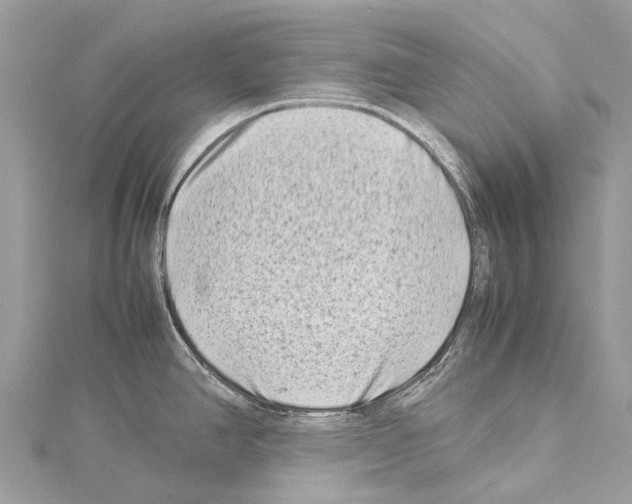 X0000114141390200911191134