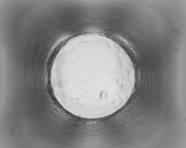 X0000114141408200911191133