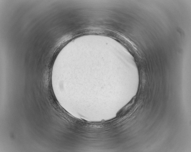 X0000114141411200911191133