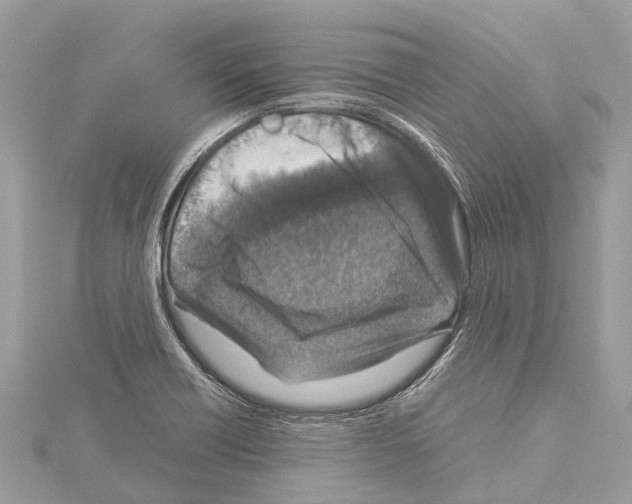 X0000114141418200911191134