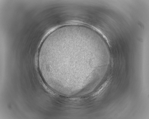 X0000114141421200911191134