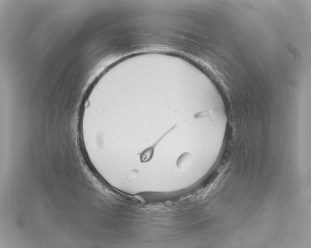 X0000114141422200911191134