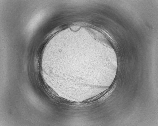 X0000114141438200911191134