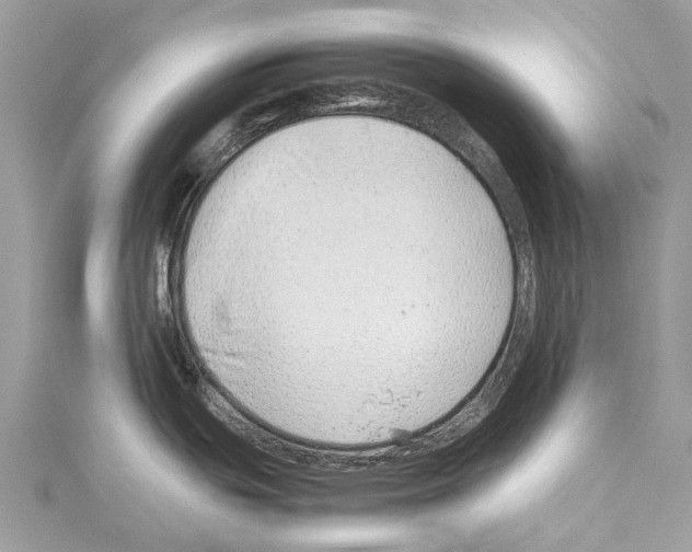 X0000114141439200911191134