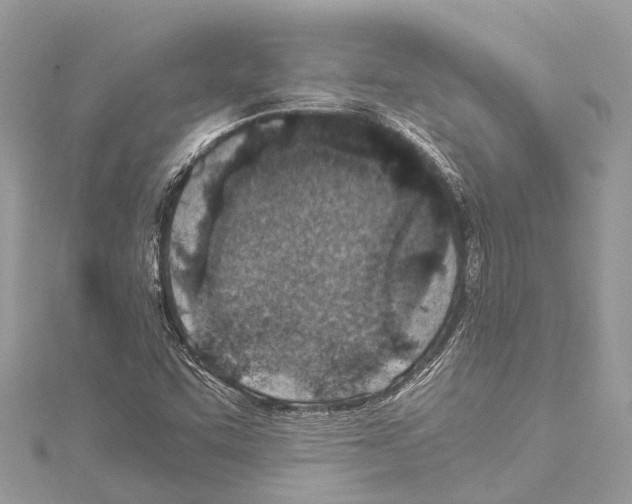 X0000114141455200911191133