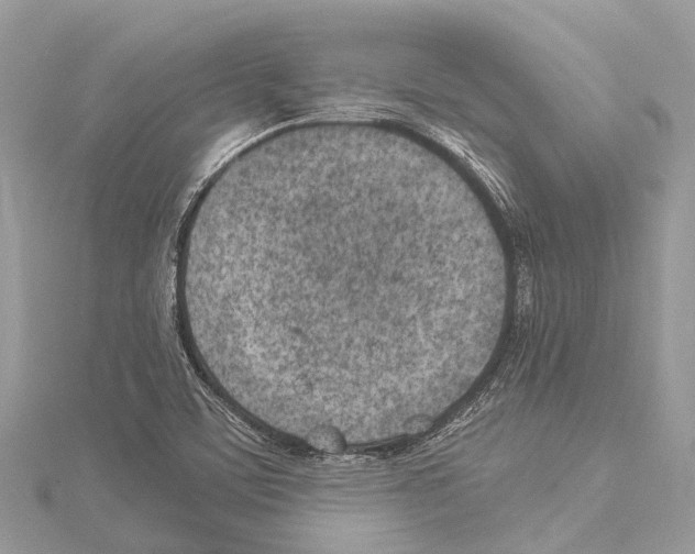 X0000114141459200911191133