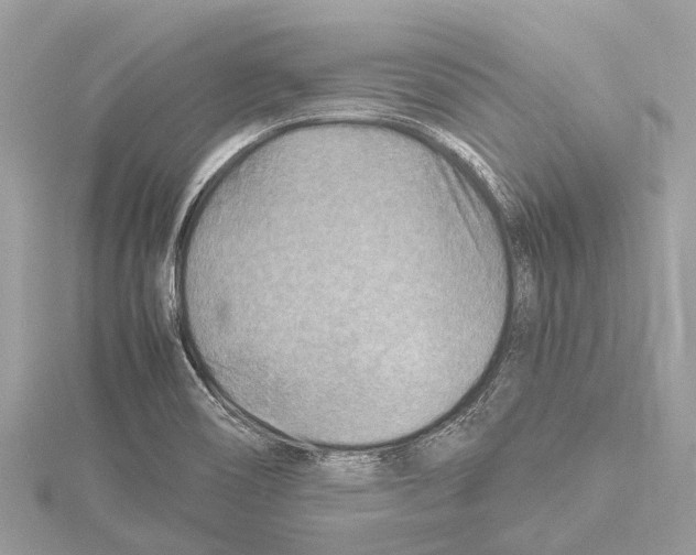 X0000114141466200911191133