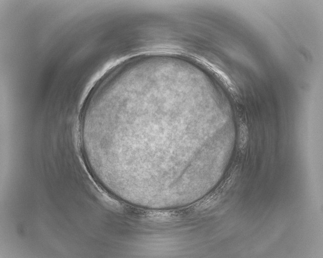 X0000114141470200911191133