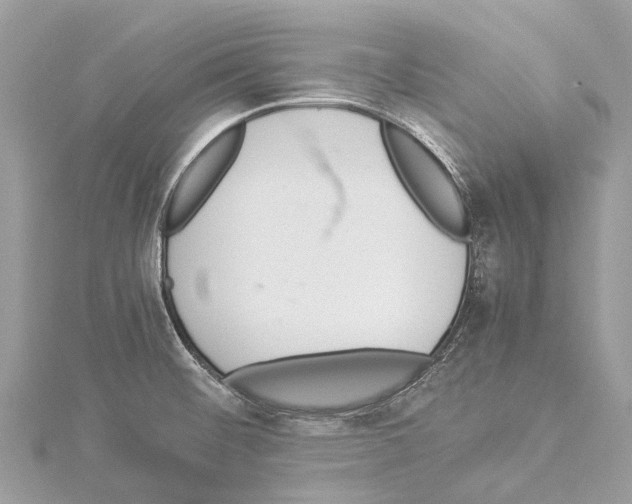 X0000114141476200911191133