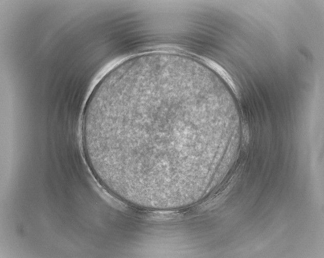 X0000114141482200911191133