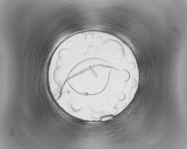 X0000114141483200911191132