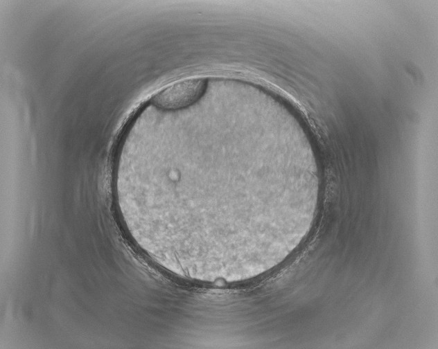 X0000114141506200911191132