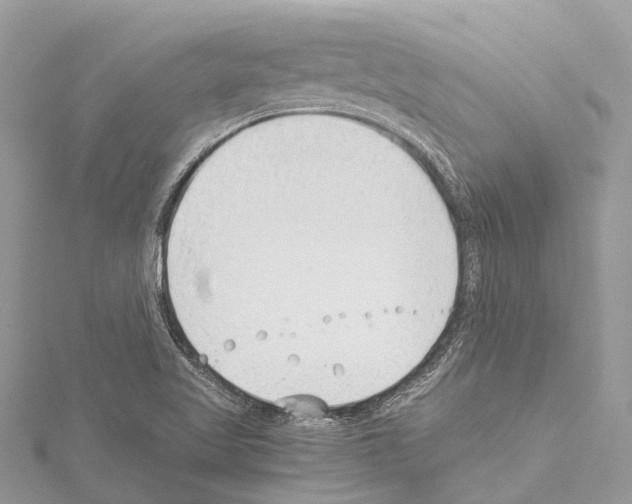 X0000114141509200911191132