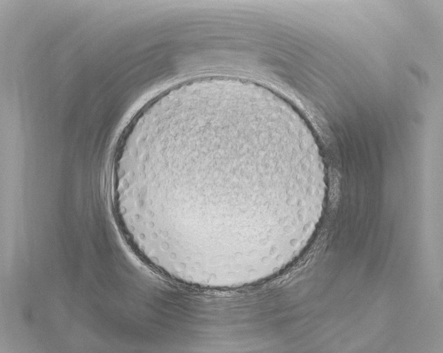 X0000114141515200911191132