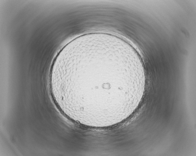 X0000114141525200911191132