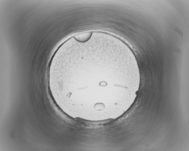 X0000114141526200911191132