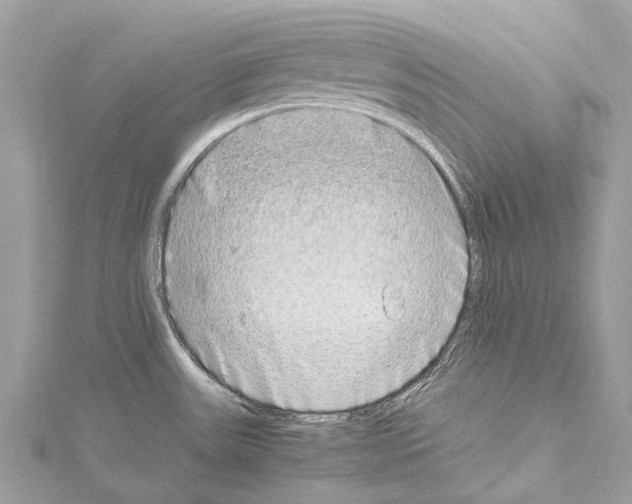 X0000114141531200911191132