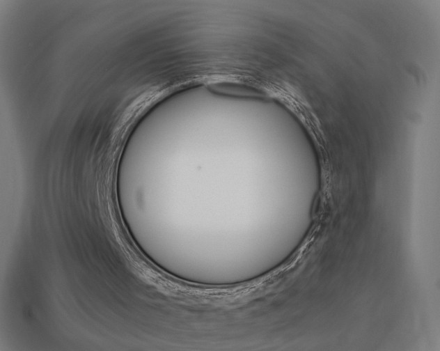 X0000114150001200910081122