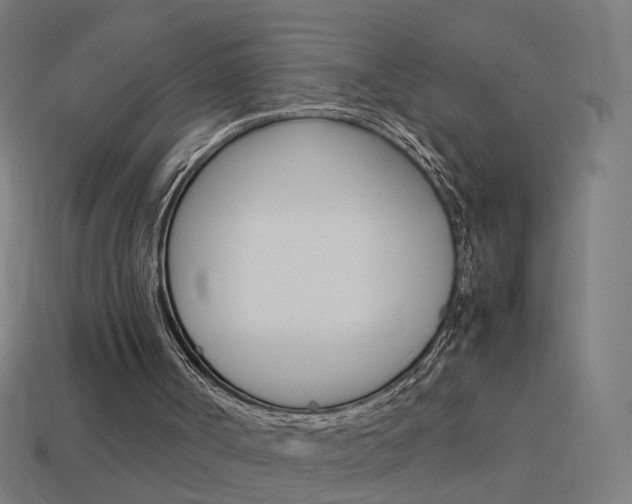 X0000114150002200910081122