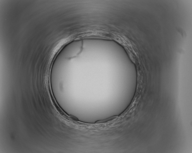 X0000114150003200910081122