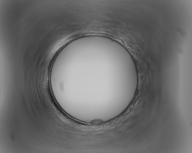 X0000114150005200910081122