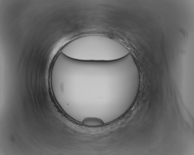 X0000114150006200910081122