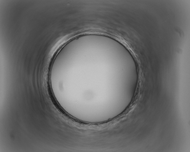 X0000114150007200910081122