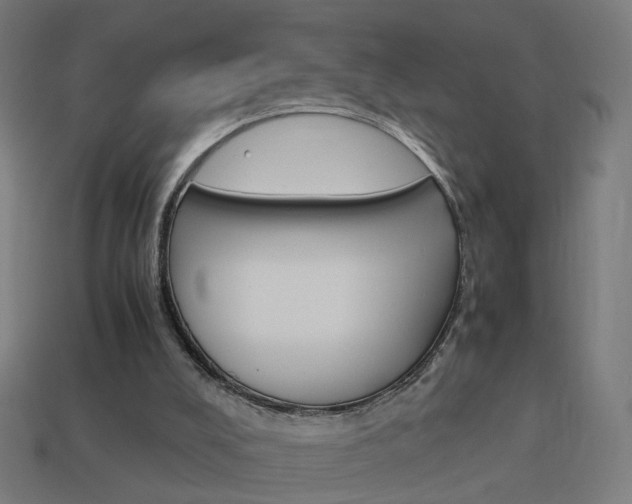 X0000114150008200910081122