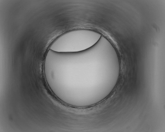 X0000114150010200910081122