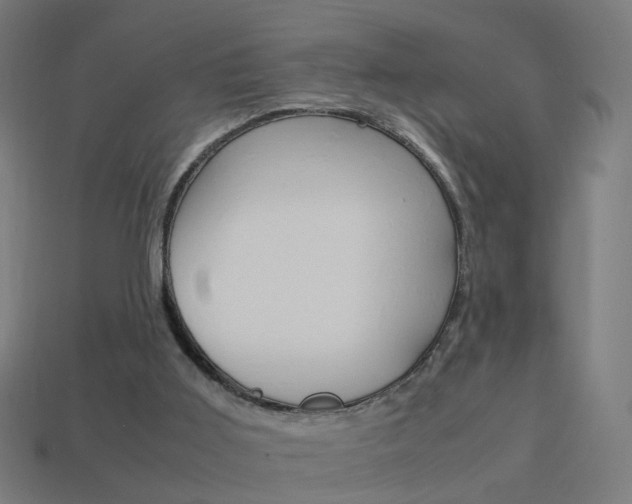 X0000114150011200910081122