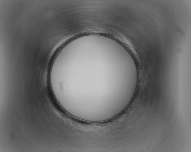 X0000114150012200910081122