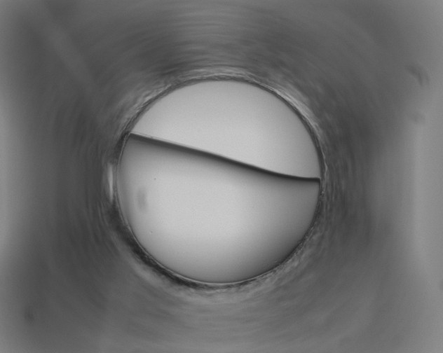 X0000114150013200910081122
