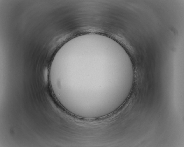 X0000114150014200910081122