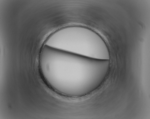 X0000114150015200910081122