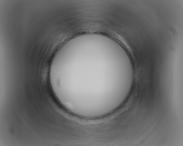 X0000114150018200910081122