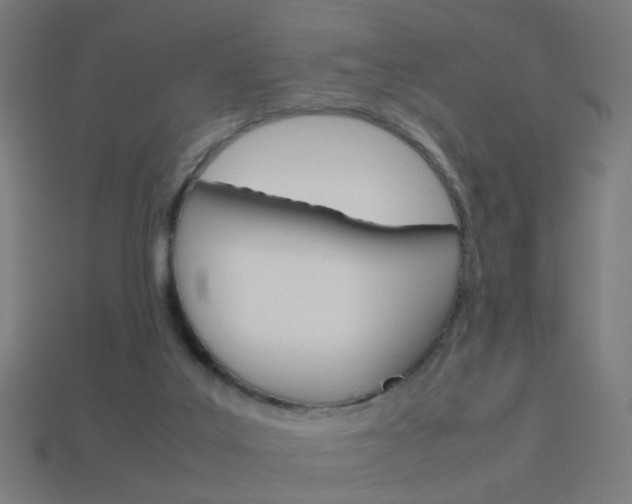 X0000114150019200910081122